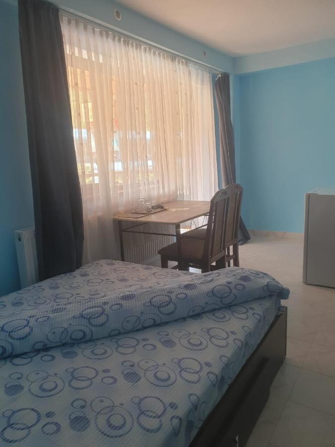 فندق Casa Dina Băile Herculane المظهر الخارجي الصورة