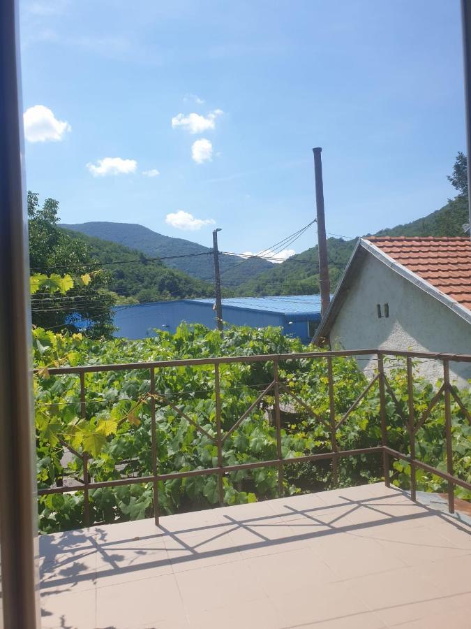 فندق Casa Dina Băile Herculane المظهر الخارجي الصورة