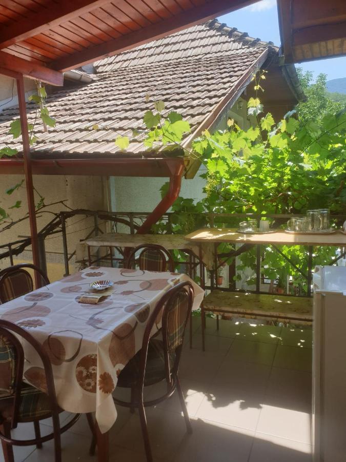 فندق Casa Dina Băile Herculane المظهر الخارجي الصورة