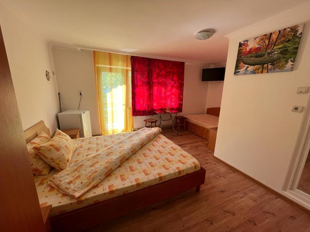 فندق Casa Dina Băile Herculane المظهر الخارجي الصورة